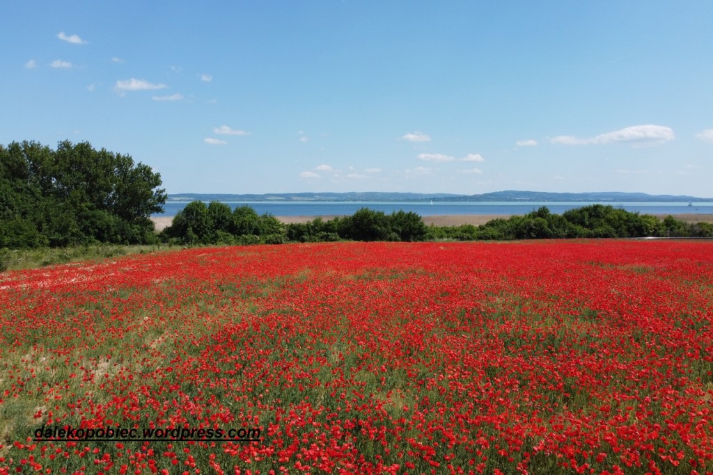 wizytówka ale  nie taka prosta do znalezienia 